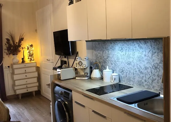 23m2 Le Grand En Hyper Centre-ville Avec Balcon